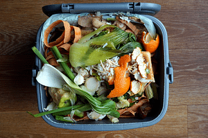food scraps in compost bucket