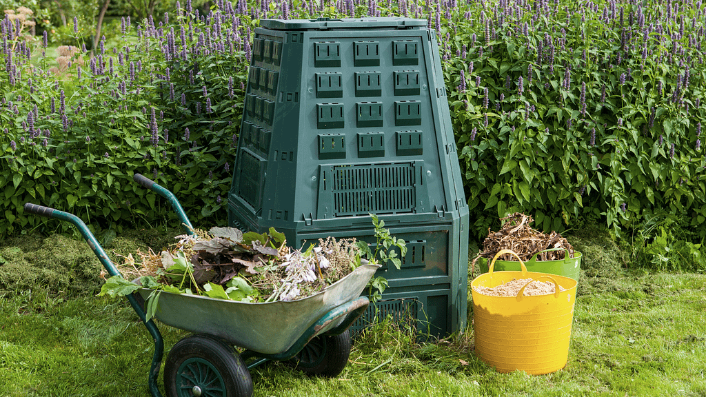 compost bin and pile